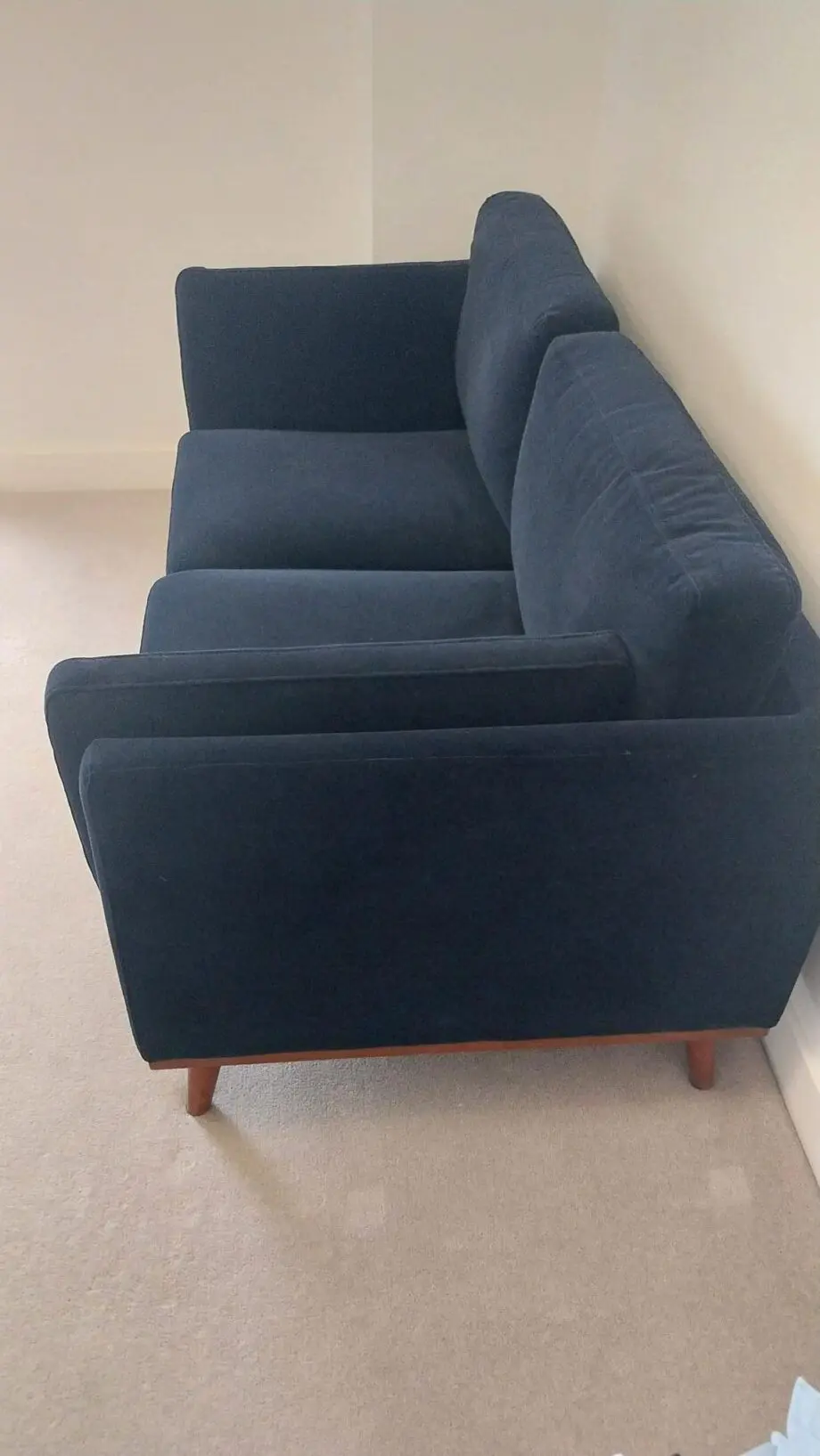 Mickey 2 Seat Velvet Sofa Walnut Frame by Twenty10 Designs (Royal Blue)