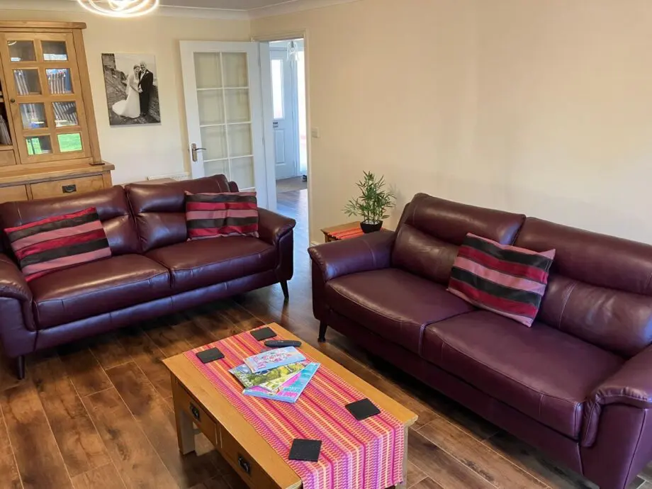 X2 leather sofas