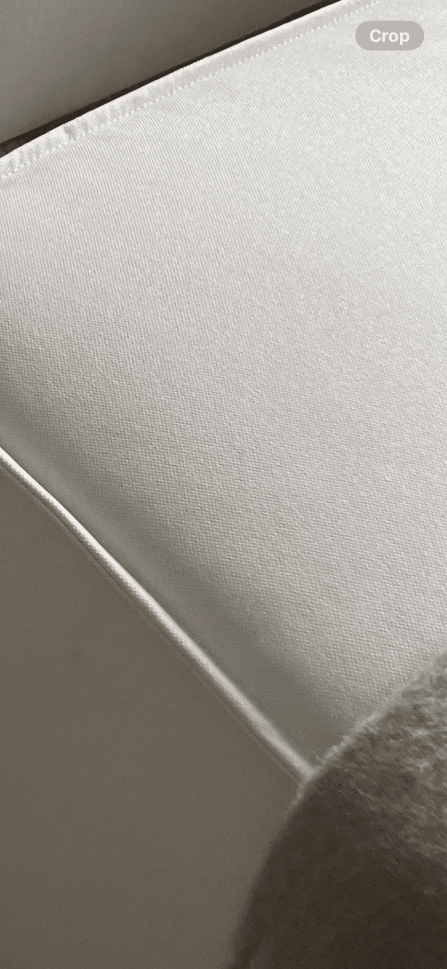 luxe sofas