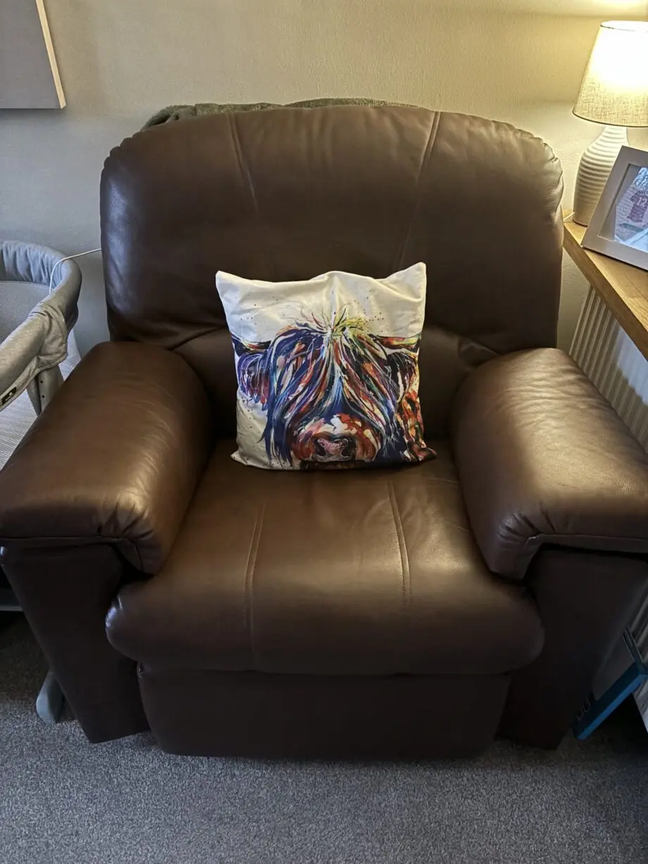 Leather armchair