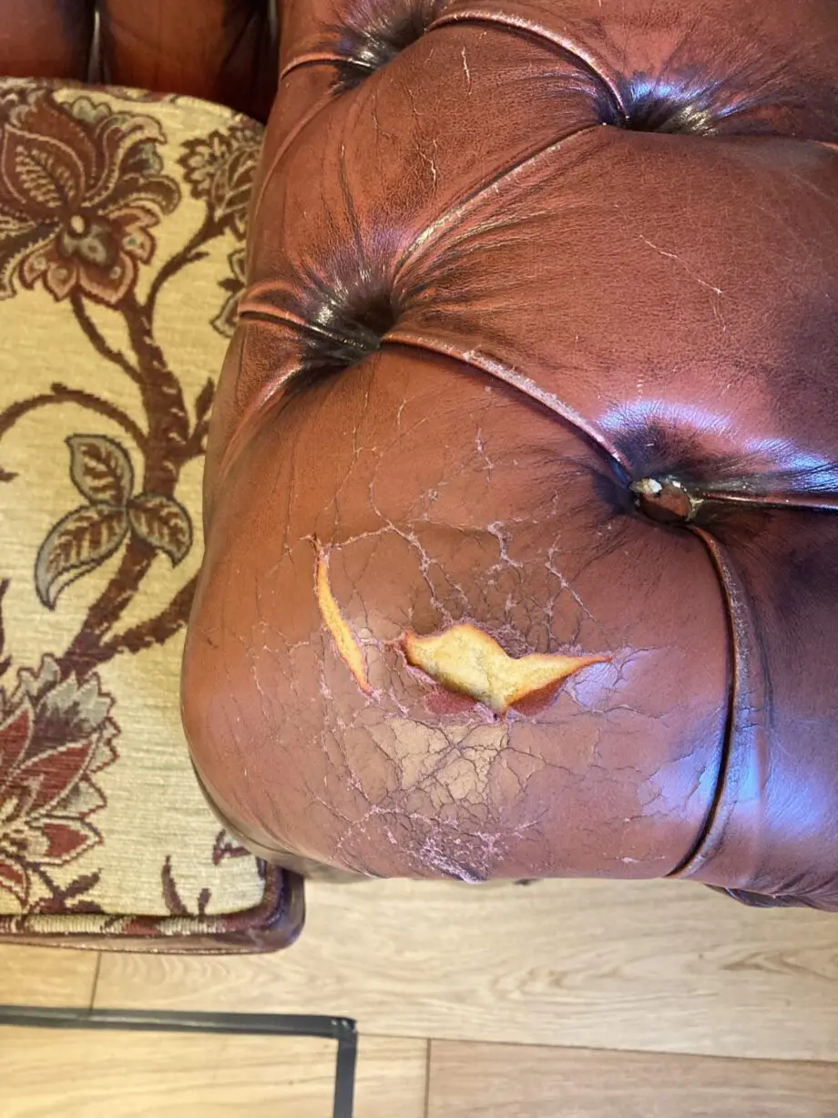 Oxblood Red Chesterfield Sofa