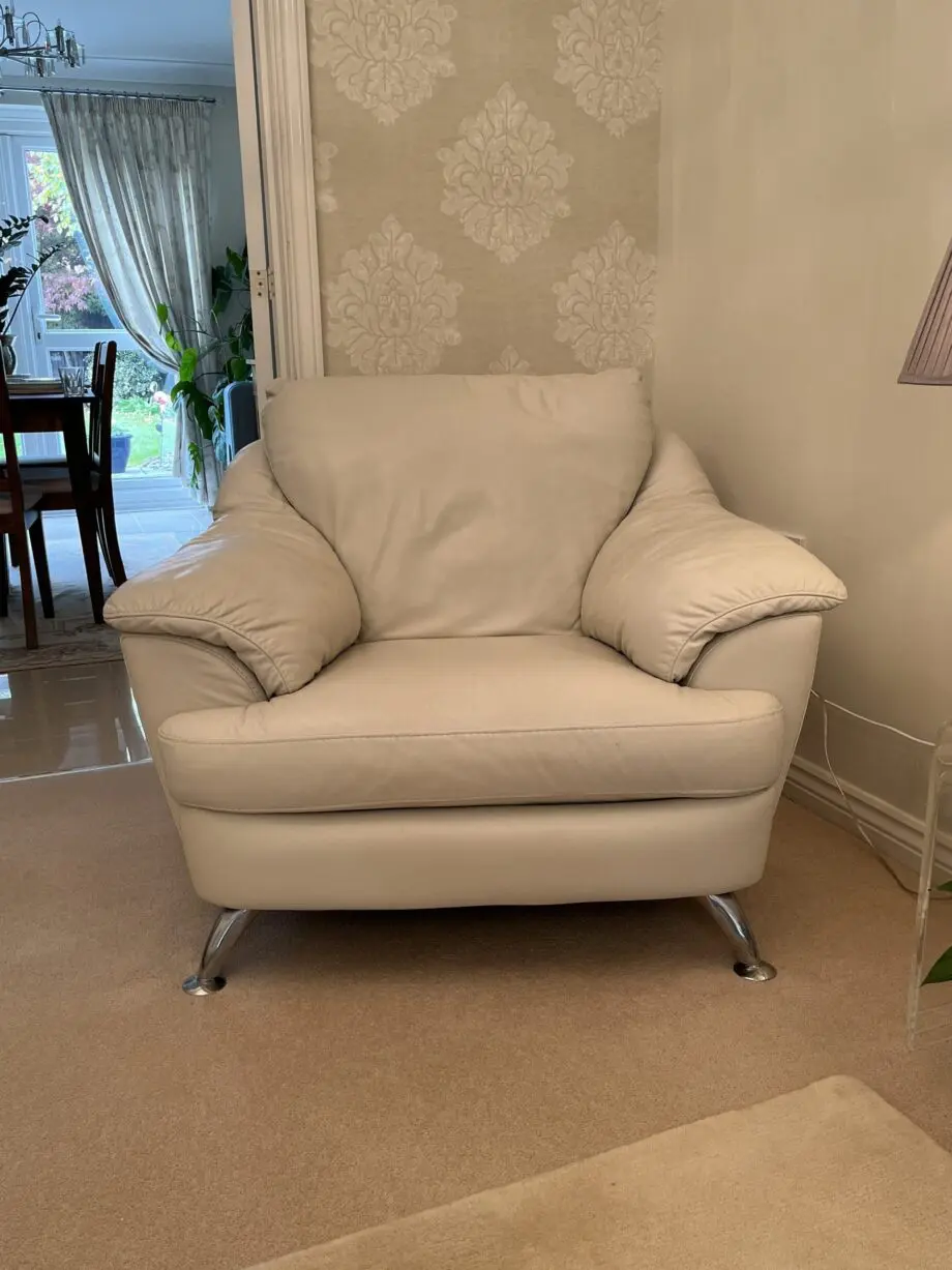 Natuzzi Sofas
