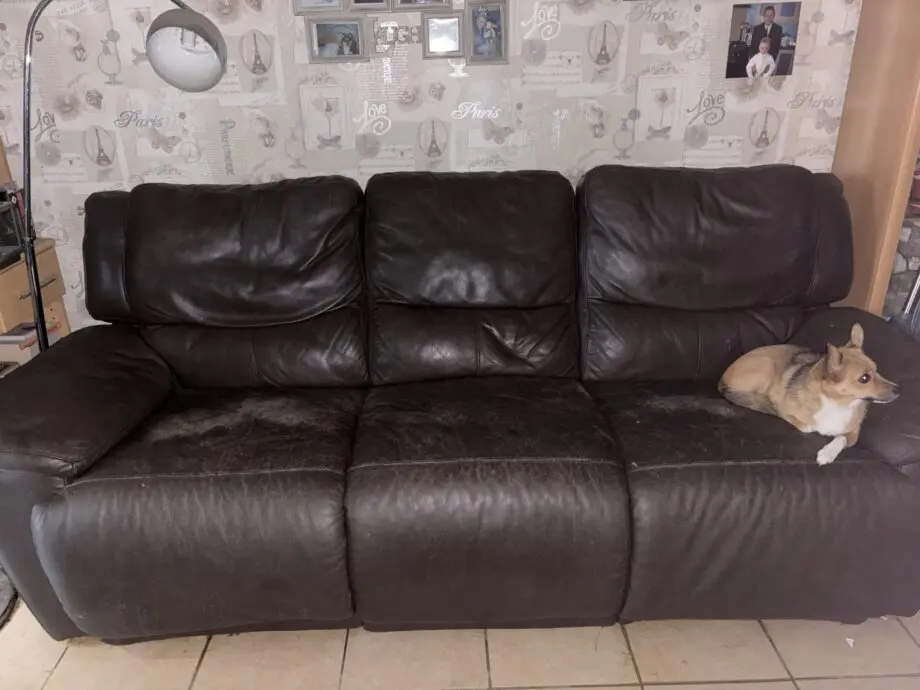 Leather sofas
