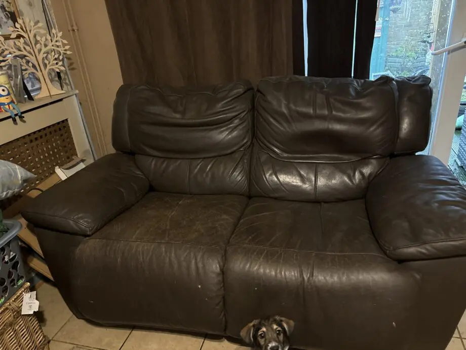 Leather sofas