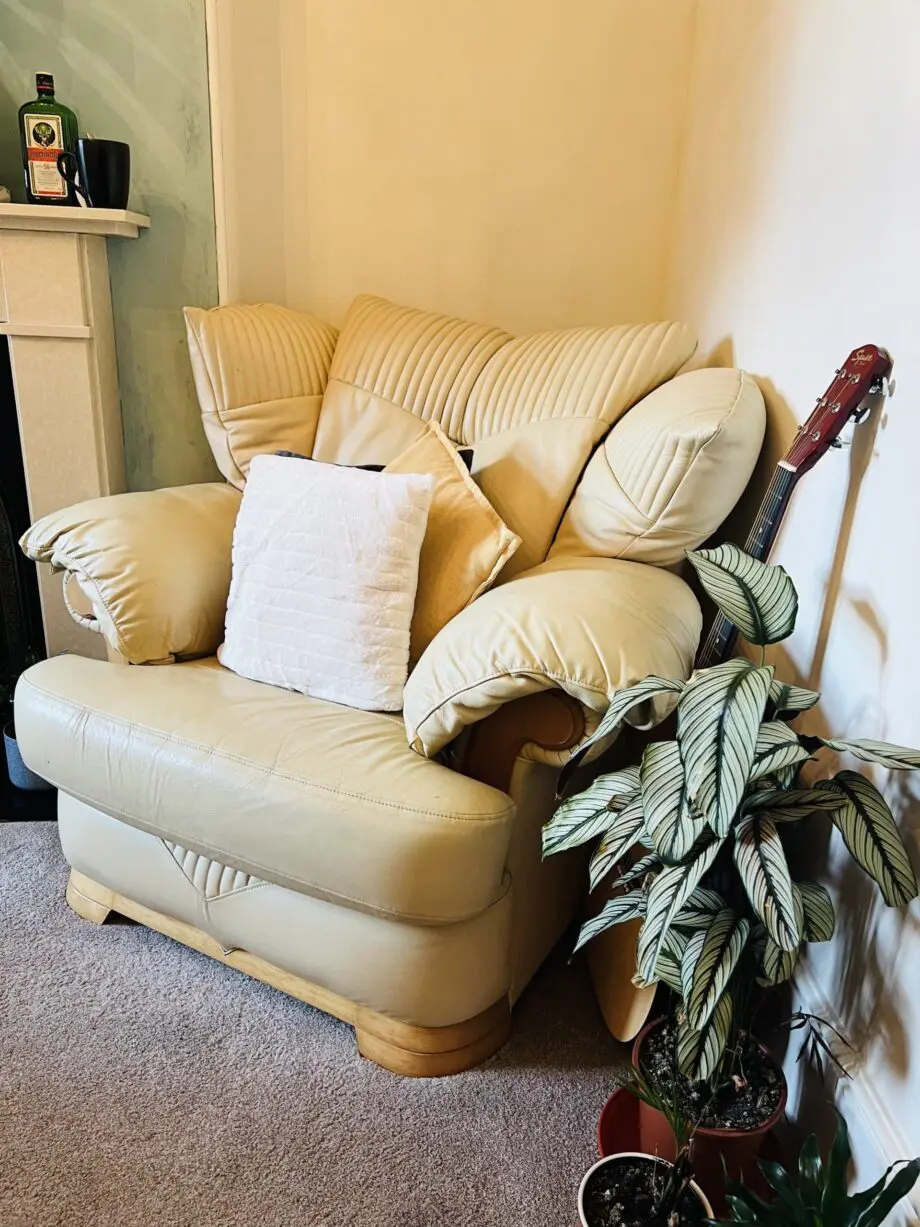 Leather Italian Yellow Arm chairs and Sofa set