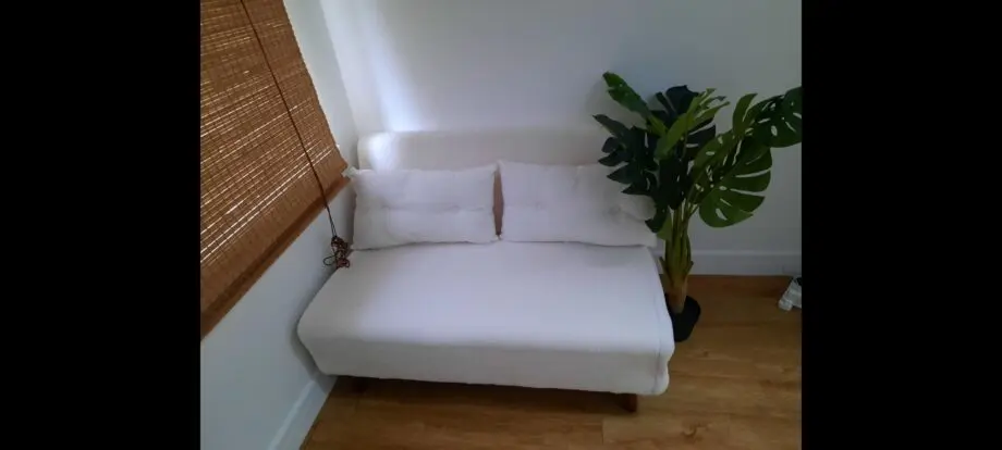 Daals Algo 2 seater sofabed 8 months old
