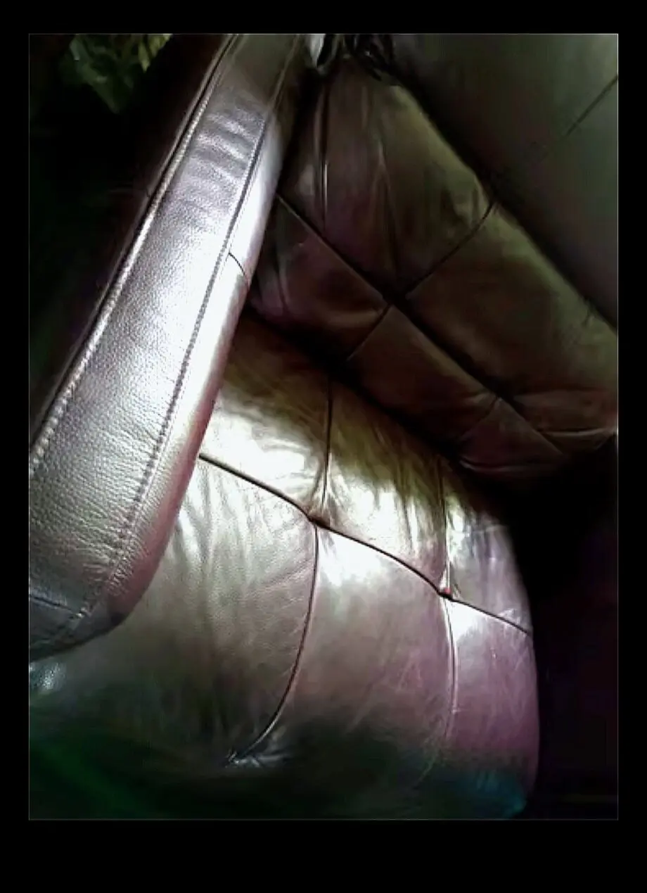 Beautiful cuddle loveseat