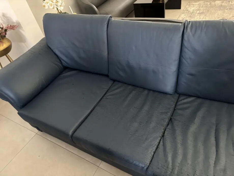 Living room Sofa