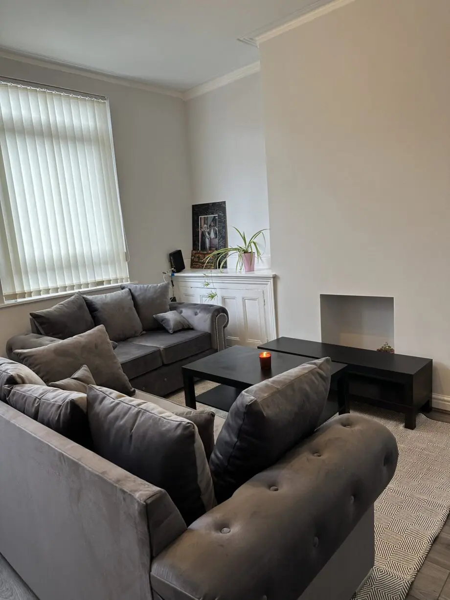 Olympia Plush Velvet 3+2 Sofa set