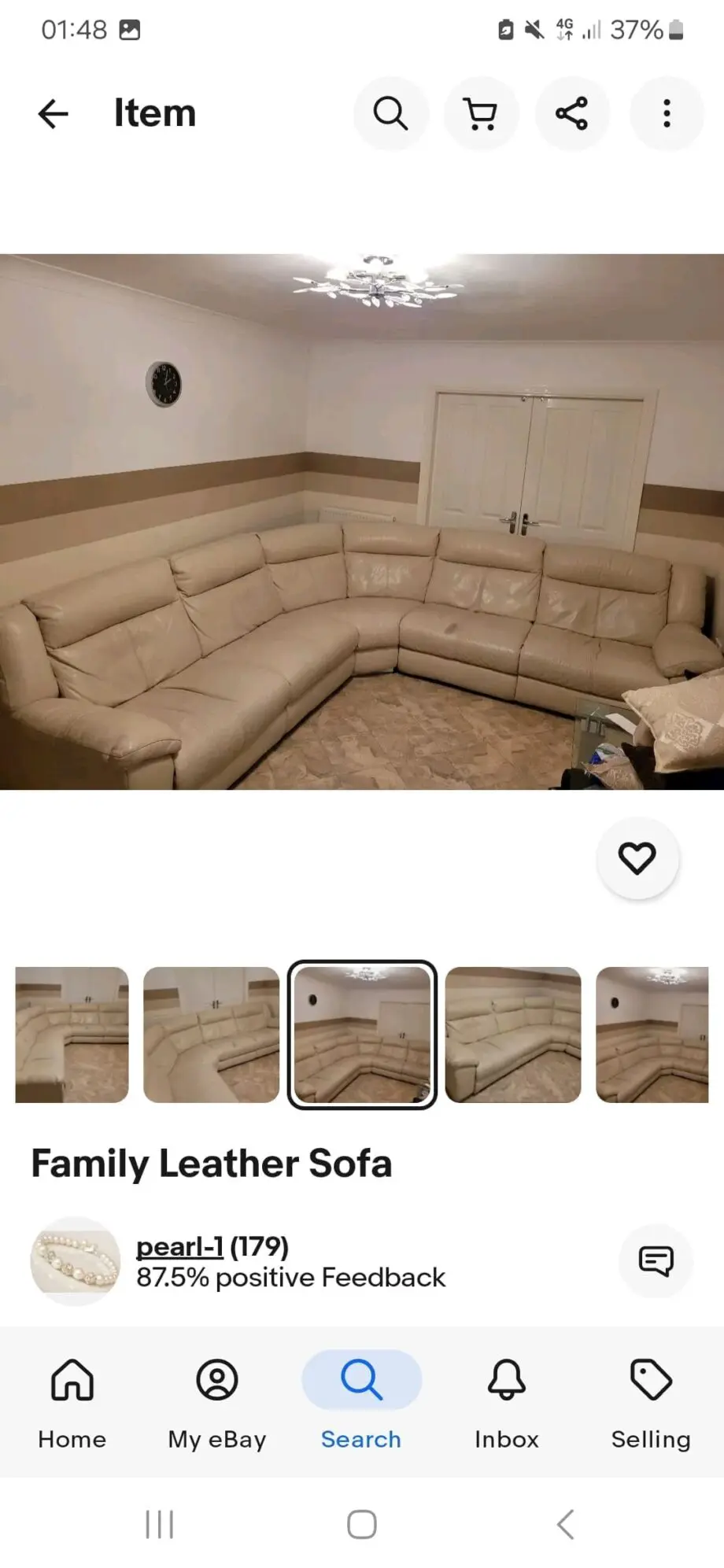 Family leather sofa
