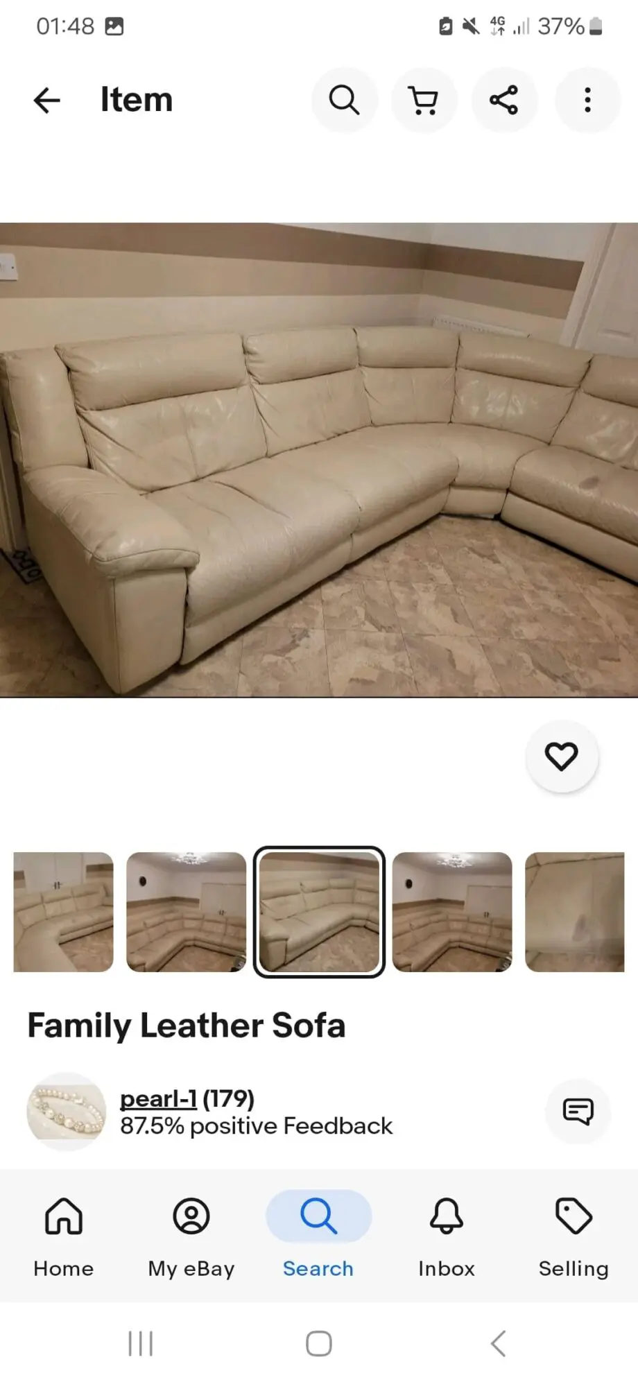 Family leather sofa