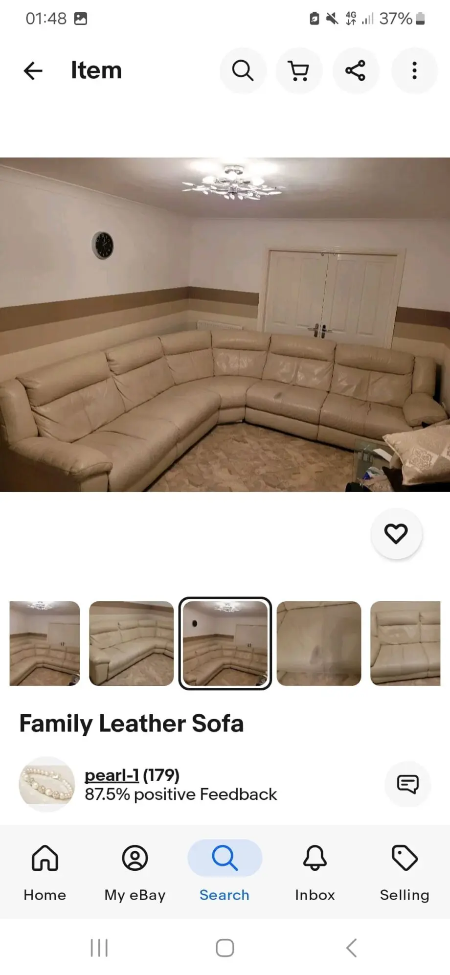 Family leather sofa