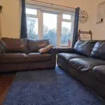 Brown leather DFS 3 seater and 2 seater chair
