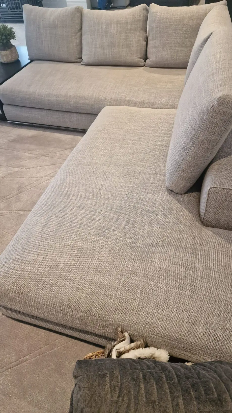 Minotti Hamilton sofa