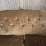 Luxury Sofa