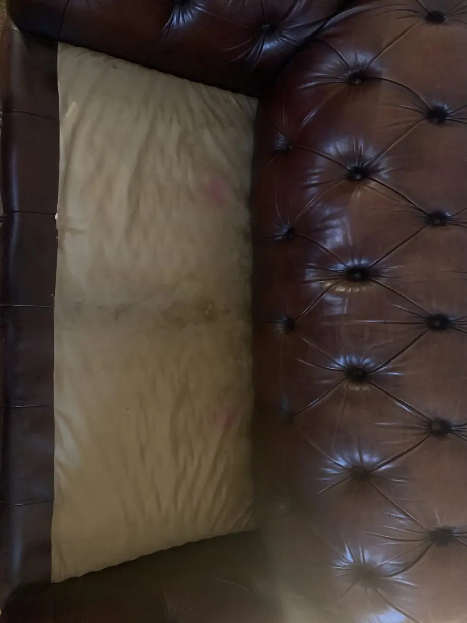 Chocolate brown leather Chesterfield style sofa