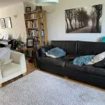 Real Leather Dark Brown Sofa