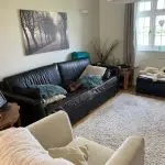 Real Leather Dark Brown Sofa