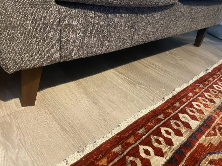 2 grey sofas