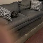 Grey 3+3+2+stool