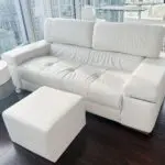 Natuzzi AVANA Loveseat 2570 Sofa + BRACQUE Ottoman – Designer Set