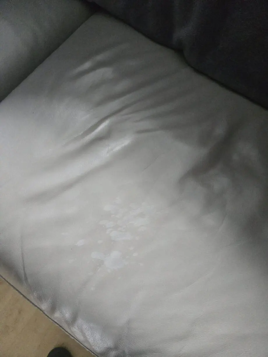 Gorgeous world of leather, elephant grey sofas