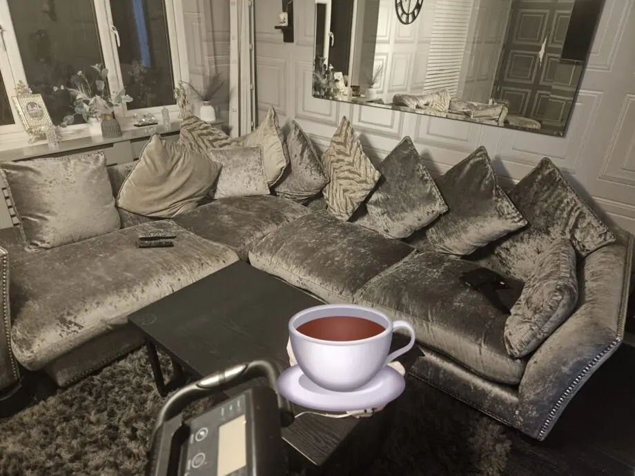 Dfs crushed velvet sofa