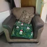 L shape and arm chair