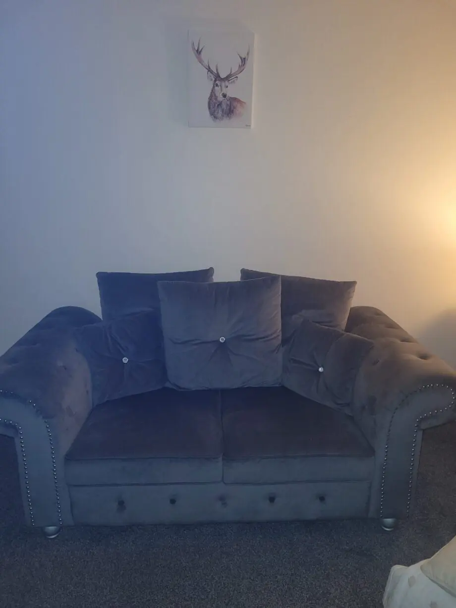 Olympia Grey fabric velvet 3+2 Sofa