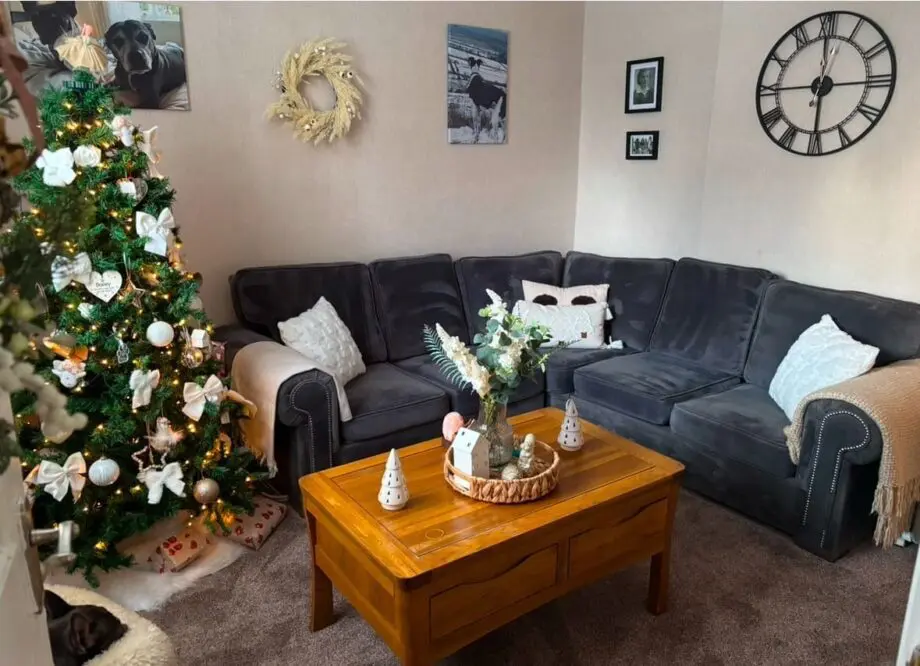 5 seater velour corner sofa