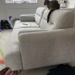 Ikea, Grey and white, Sofa