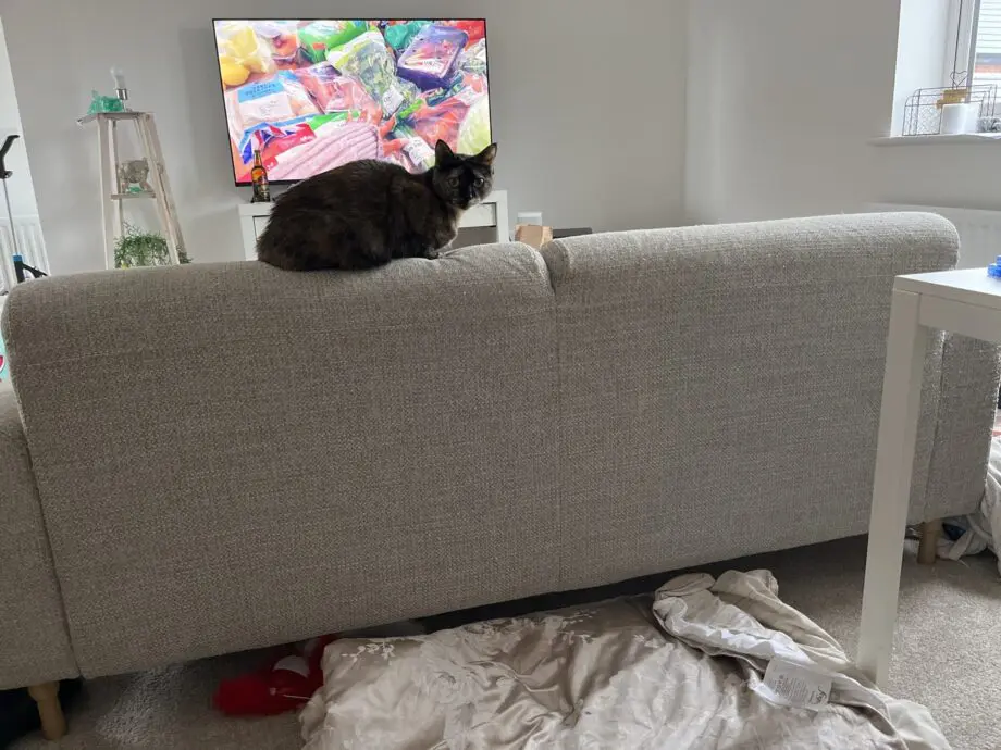 Ikea, Grey and white, Sofa