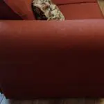 Pair of SofaSofa Albany 2-seater loose-cover sofas in Dark Terracotta Kingston jacquard patterned fabric