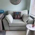 Next Loveseat/cuddler