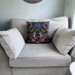 Next Loveseat/cuddler