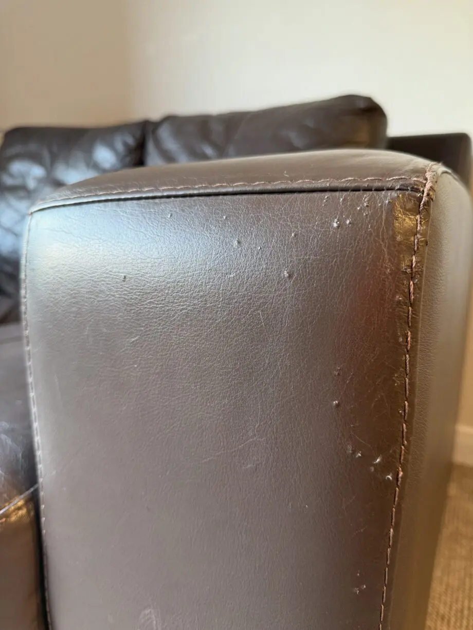 Brown Leather 2 Seater