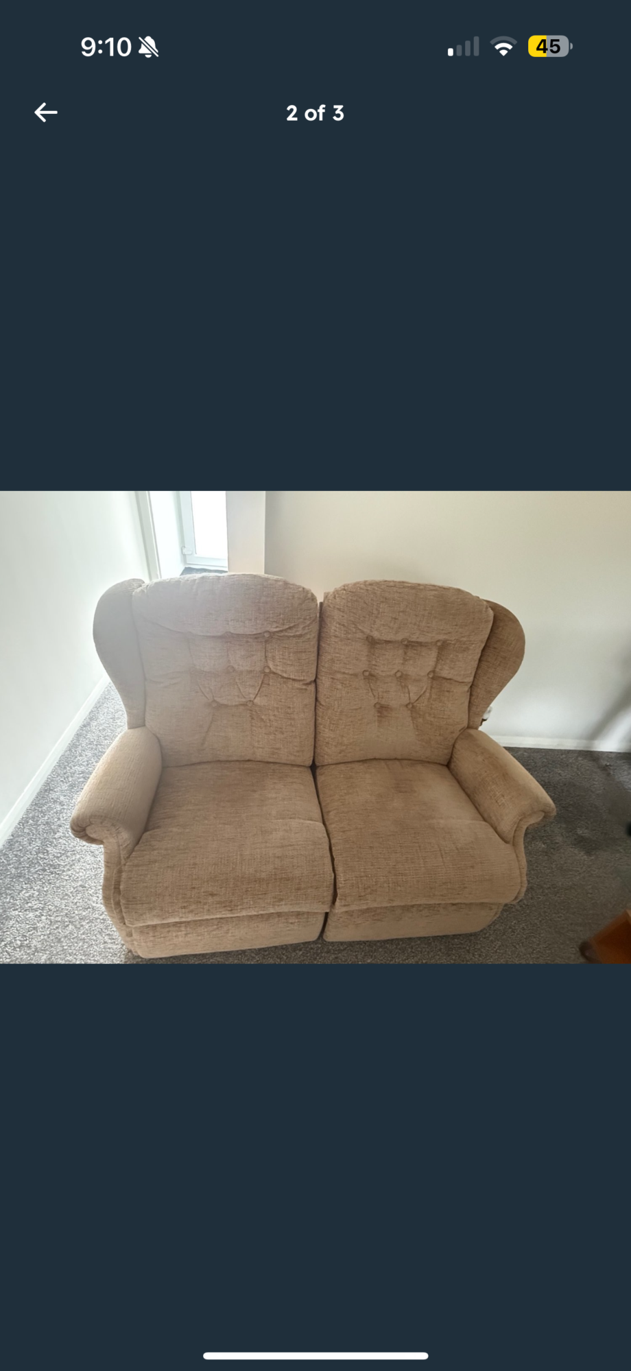 Two sofa chairs
