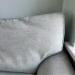 Next Loveseat/cuddler