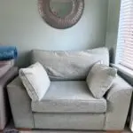 Next Loveseat/cuddler