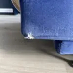Debenhams Blue sofa bed