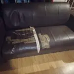Brown sofa for use for totally free