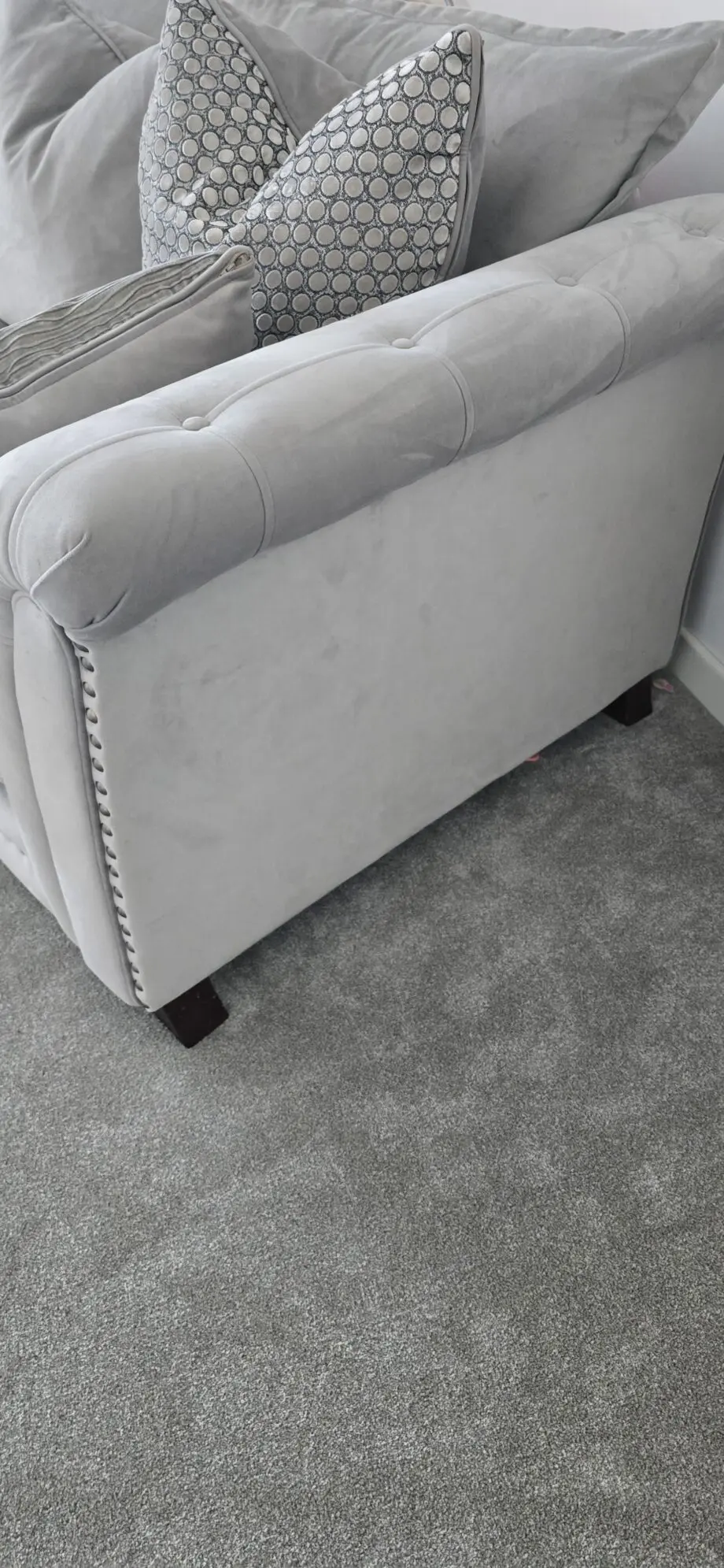 Designer rooms 2 seater cuddle and 3 seater couch