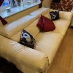 Quality Italian Leather Sofa's