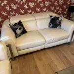 Quality Italian Leather Sofa's
