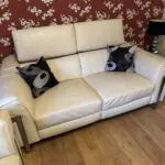 Quality Italian Leather Sofa's