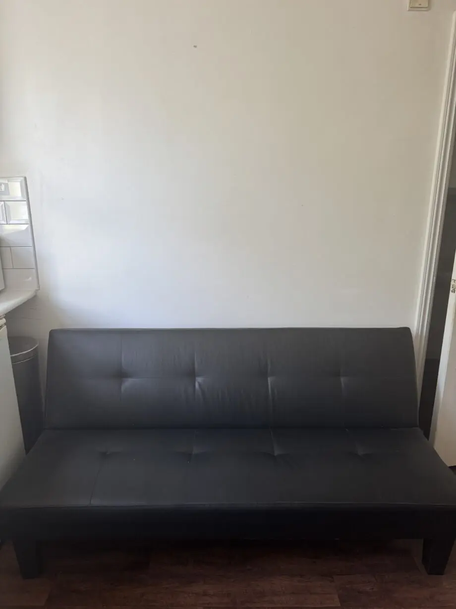 Wayfair Black Leather Sofa Bed