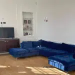 Luxury Velvet U-Shaped sofa