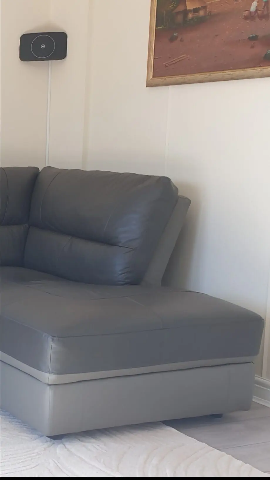 Leather Sofa