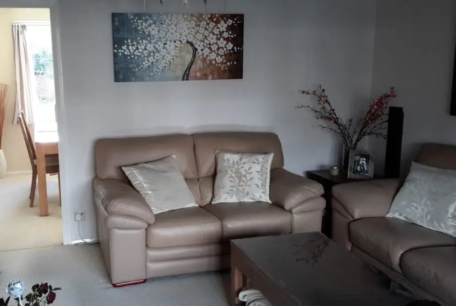 Modern 3 and 2 seater leather sofa set