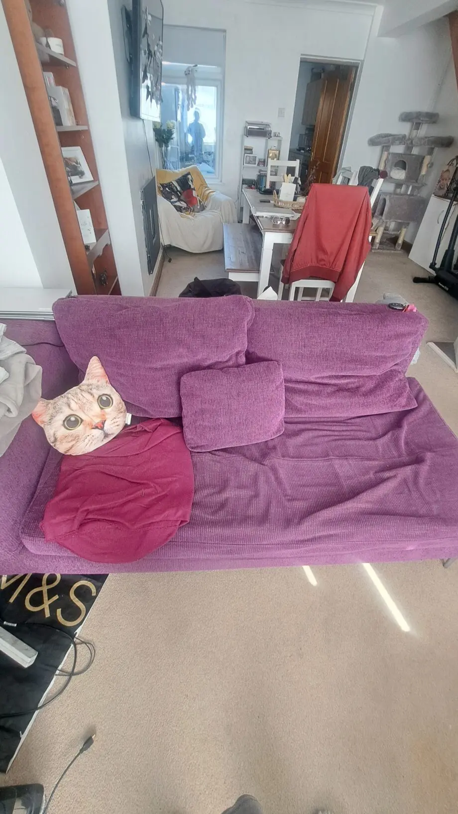 DFS sofa set (purple)